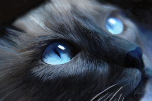 Le Chat (GH - huile peinture numérique - 2016)